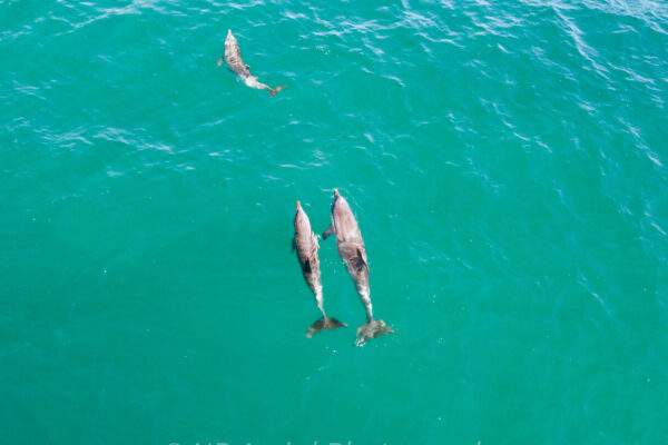 DJI_0027